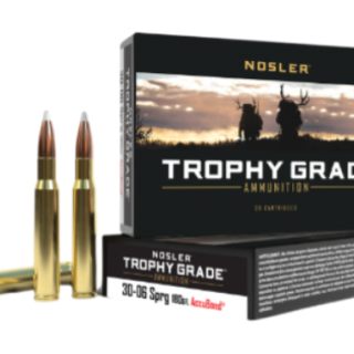 Nosler ammo 30-06 sprin 180gr tg accu (20)