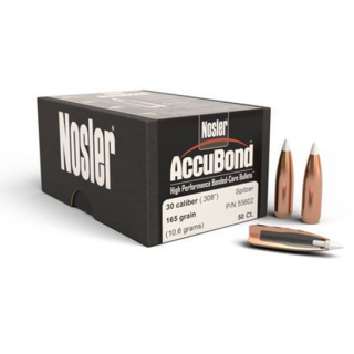 Nosler ammo 308 win 165gr tg accu (20)