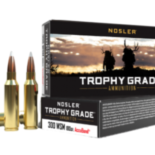 Nosler ammo 300 wsm 180gr tg accu (20)