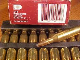 243 proamm 100gr rnd pck