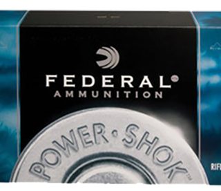 Federal 303 180gr power shock (20)