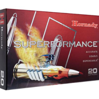 Hornady amm 375 h&h 300gr dgs (20)