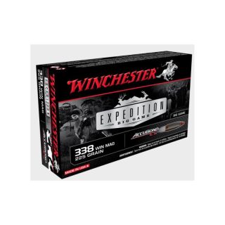 Win amm 338wm 225gr accubond ct (20)