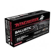 Win amm 22-250 rem 55gr bst (20)