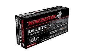 Win amm 223 rem 55gr bst (20)