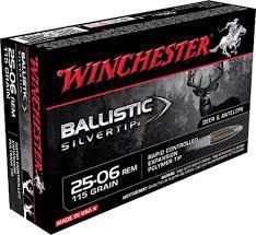 Win amm 25-06 rem 115gr bst (20)