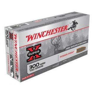Win amm 300wsm 150gr powerpoint (20)