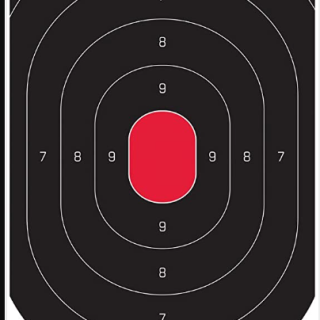 Bc target d/bird silh oval 12x18 (1 sheet)