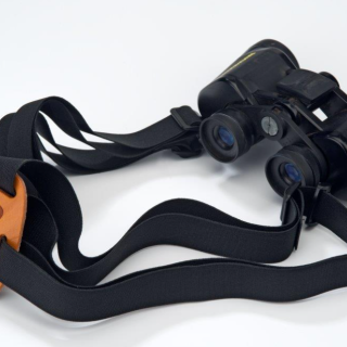 Bushill binocular/camera harness