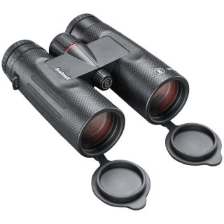 Bushnell bino 10x42 nitro