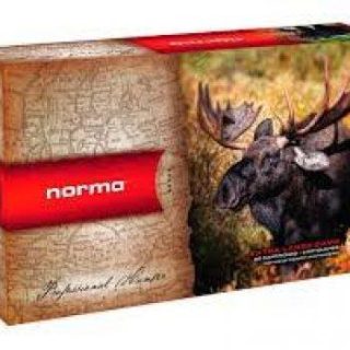 Norma ammo 458 wm 500gr swift a-frame (10)