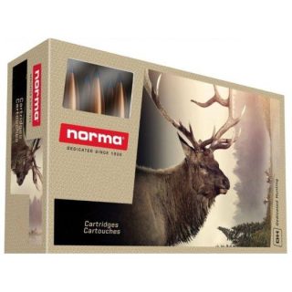 Norma ammo 500 jeff 570gr rnsn (10)