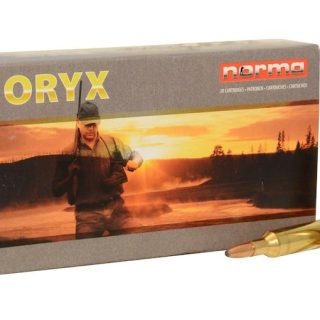 Norma ammo 6mm xc 100gr (20)
