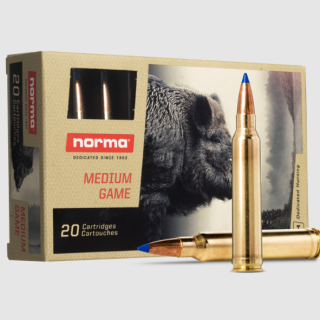 Norma ammo 300 win 180gr bondstrike (20)