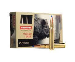 Norma ammo 30-06 180gr bondstrike (20)