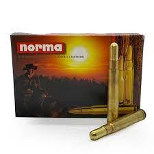 Norma ammo 375 h&h 300gr barnes solid (20)