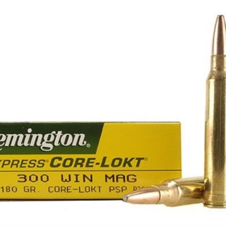 Remington amm 300wm 180gr psp cr/l ub (20)
