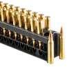 Remington amm 223 50gr accu